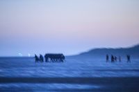 
<p class='fr'>
Des migrants transportent un bateau avant d’embarquer. Plage de Gravelines, près de Dunkerque, 22 septembre 2020.</p>
<p class='en'>
Migrants carrying their boat down to the water’s edge. Gravelines Beach, near Dunkirk, September 22, 2020.</p>