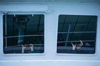 
<p class='fr'>
Les membres d’équipage de l’Abeille Languedoc surveillent les embarcations de migrants. 14 mars 2022.</p>
<p class='en'>
Crew members on board the Abeille Languedoc observing migrants in their dinghies. March 14, 2022.</p>